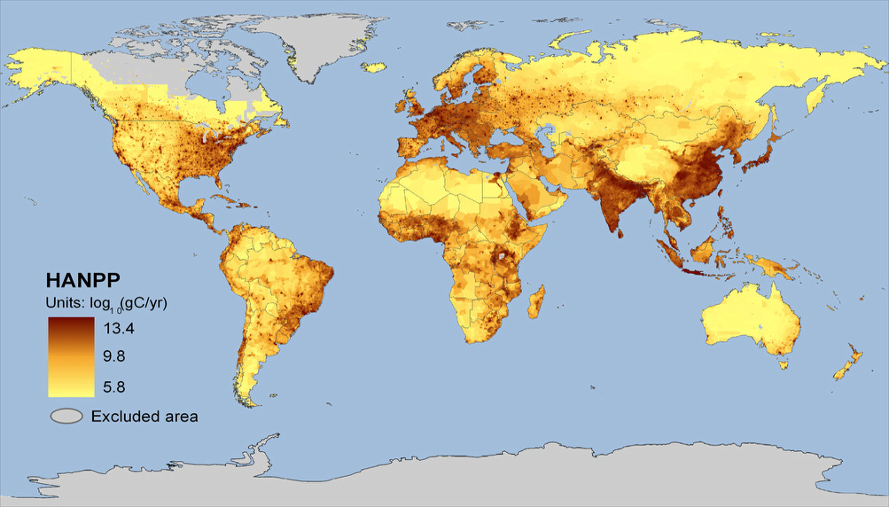NPP world map, projected to Patterson Cylindrical Projection.