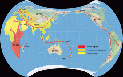 Strebe 1995, Human Migration